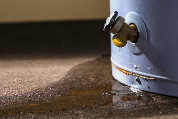 Best Flooded house restoration  in Golden, CO