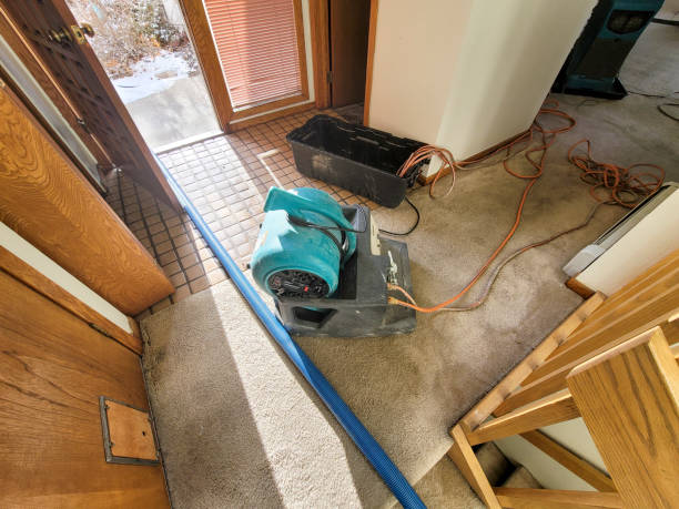 Best Water damage restoration near me  in Golden, CO