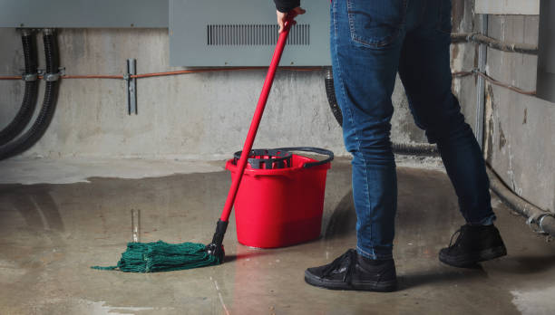 Best Water damage cleanup near me  in Golden, CO