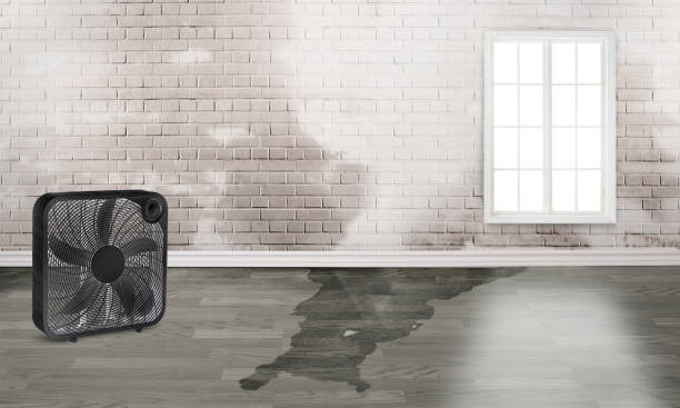 Best Fire Damage Restoration  in Golden, CO