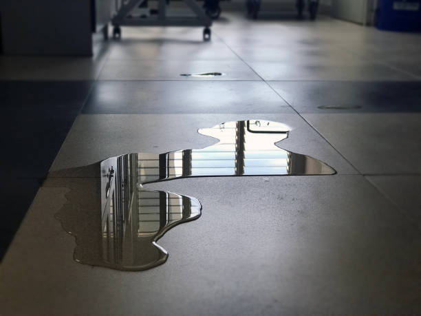 Best Water damage restoration near me  in Golden, CO